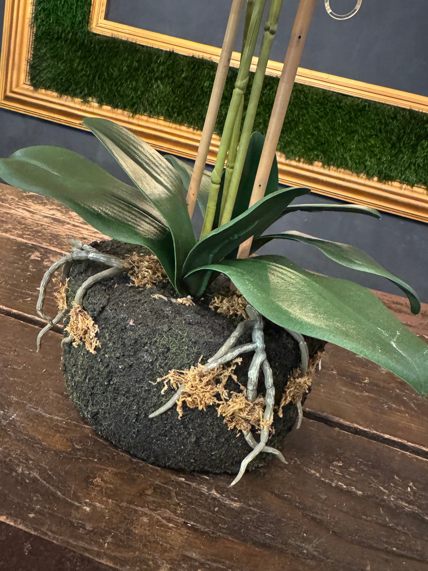 PIANTA PHALAENOPSIS REAL TOUCH X3 CON ZOLLA BIANCO