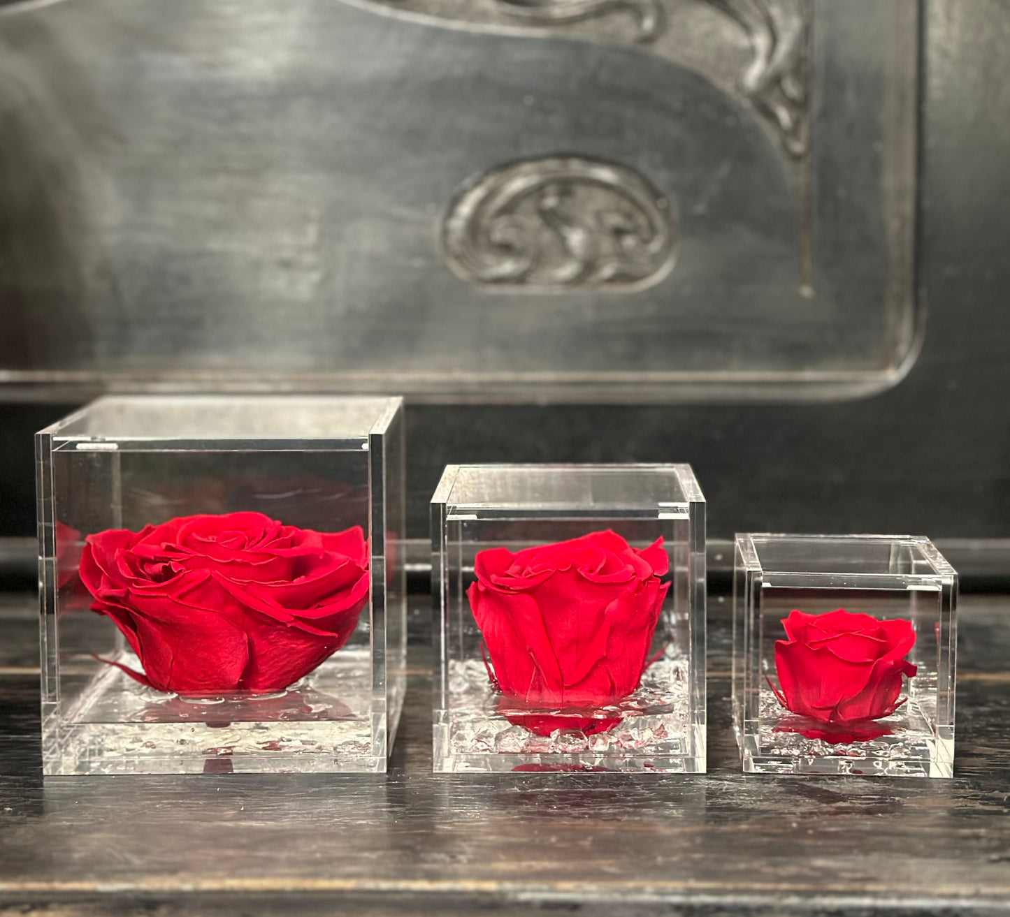 FLOWERCUBEROSA+PACKAGING ROSSO/RED