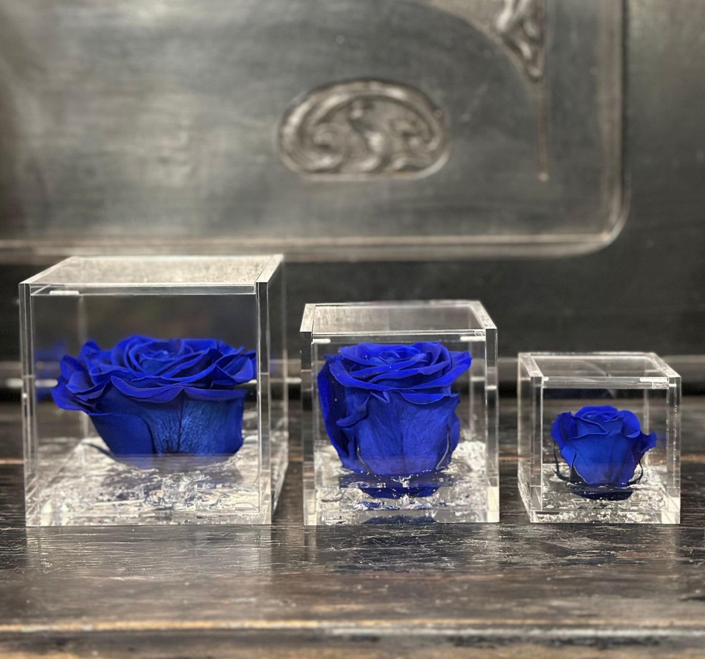 FLOWERCUBE ROSA+PACKAGING BLU/BLUE
