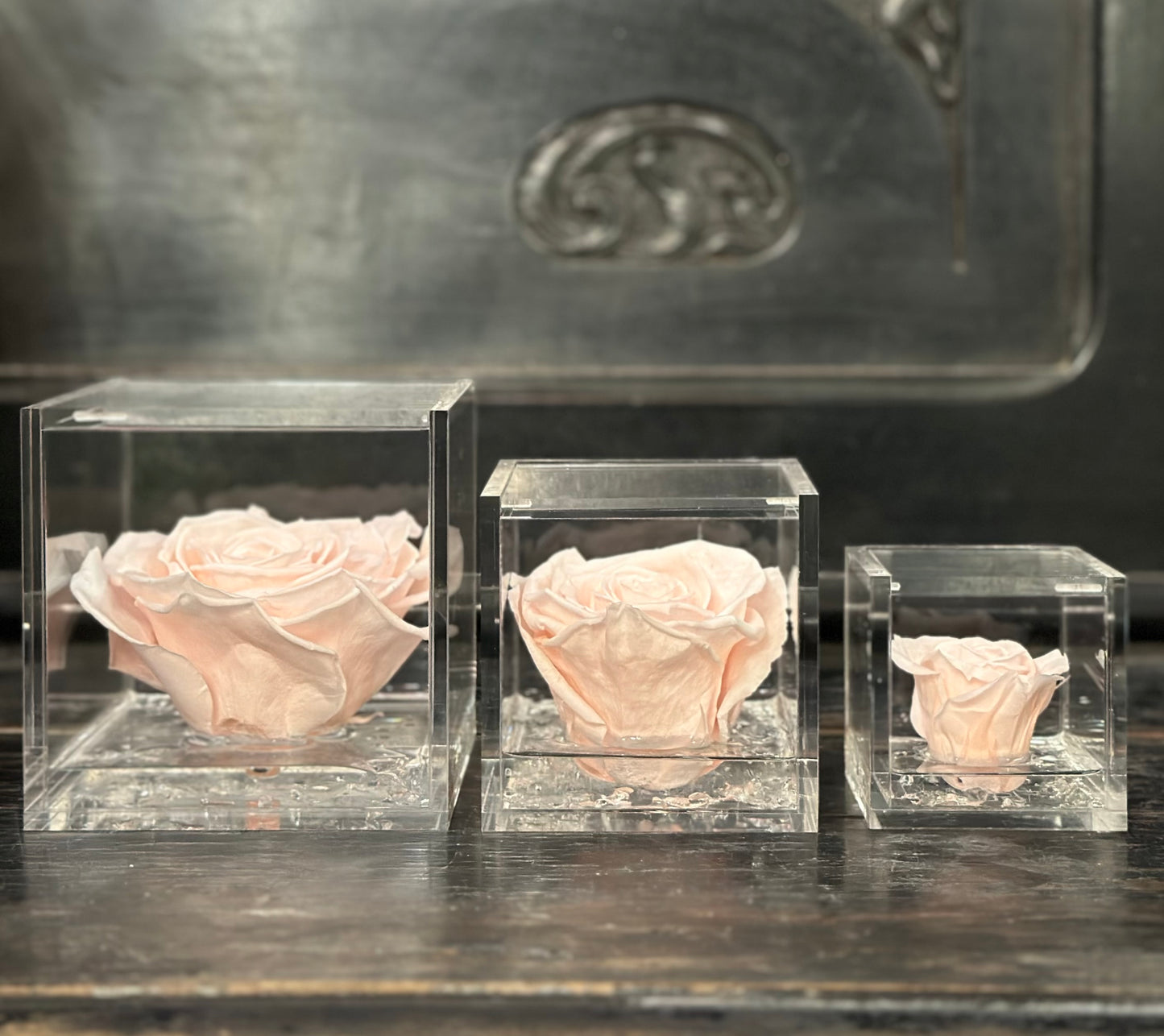 FLOWERCUBE SPECIAL ED. ROSA+PACKAGING ROSA PASTELLO/PASTEL PINK