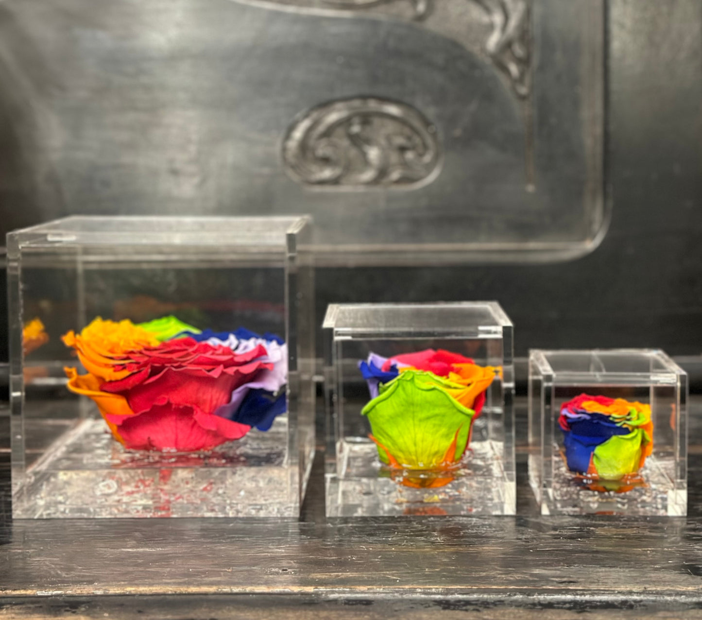 FLOWERCUBE SPECIAL ED. ROSA+PACKAGING RAINBOW