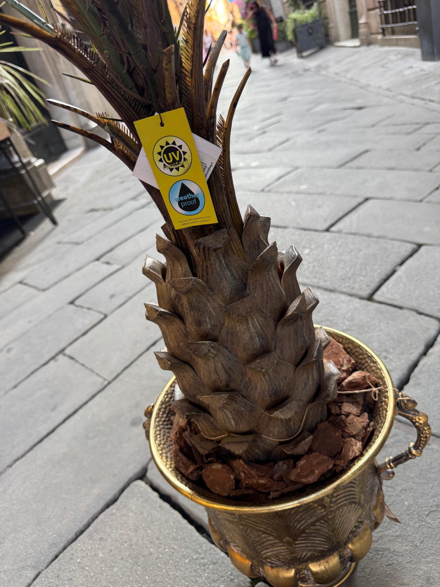 CICAS PALM - OUTDOOR