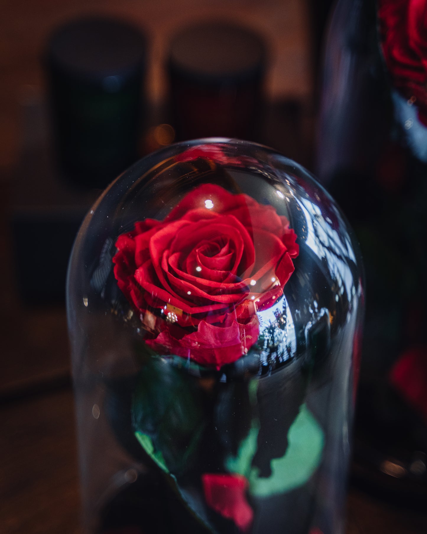 ROSA INCANTATA PROFUMATA H24/30 CON BASE IN LEGNO+PACKAGING ROSSA