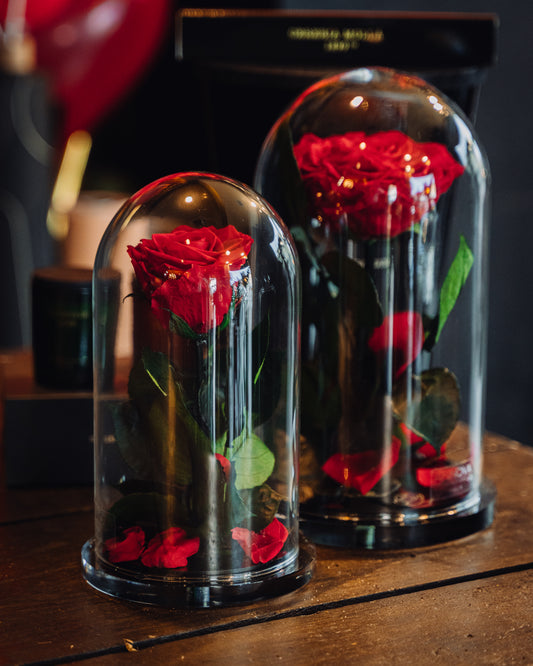 ROSA INCANTATA PROFUMATA H24/30 CON BASE IN LEGNO+PACKAGING ROSSA