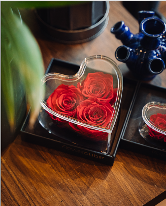 CUORE ROSE ROSSE PLEXIGLASS