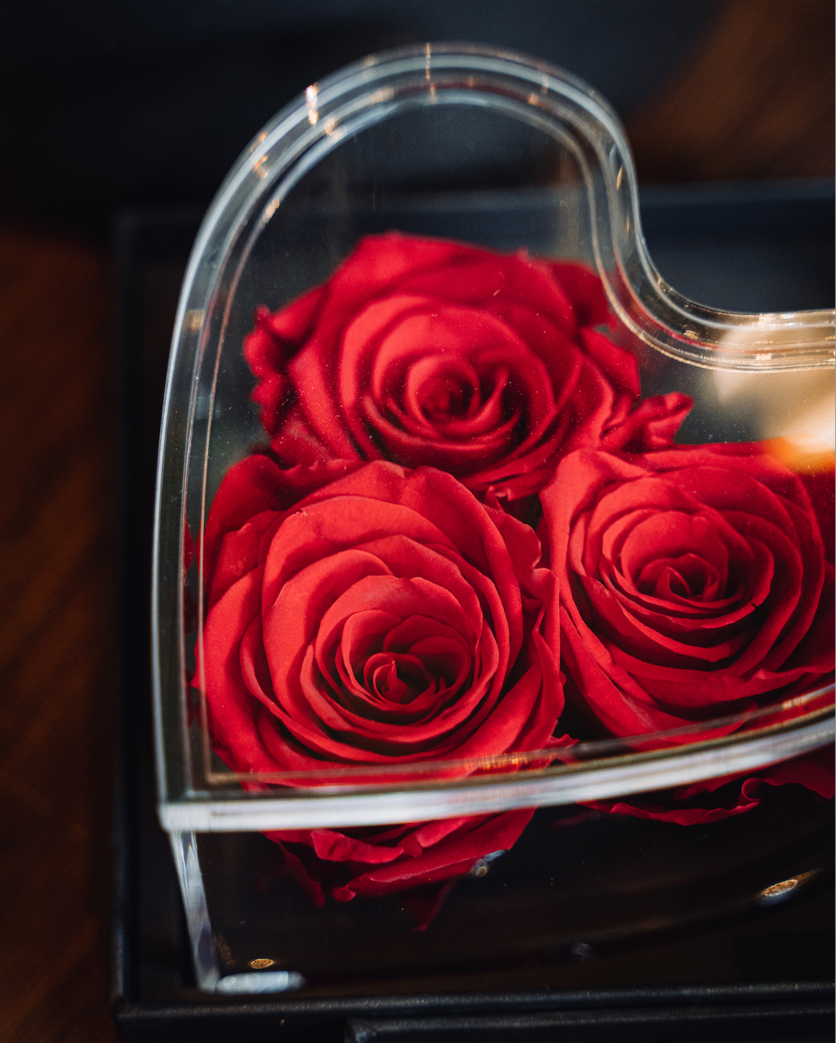 CUORE ROSE ROSSE PLEXIGLASS