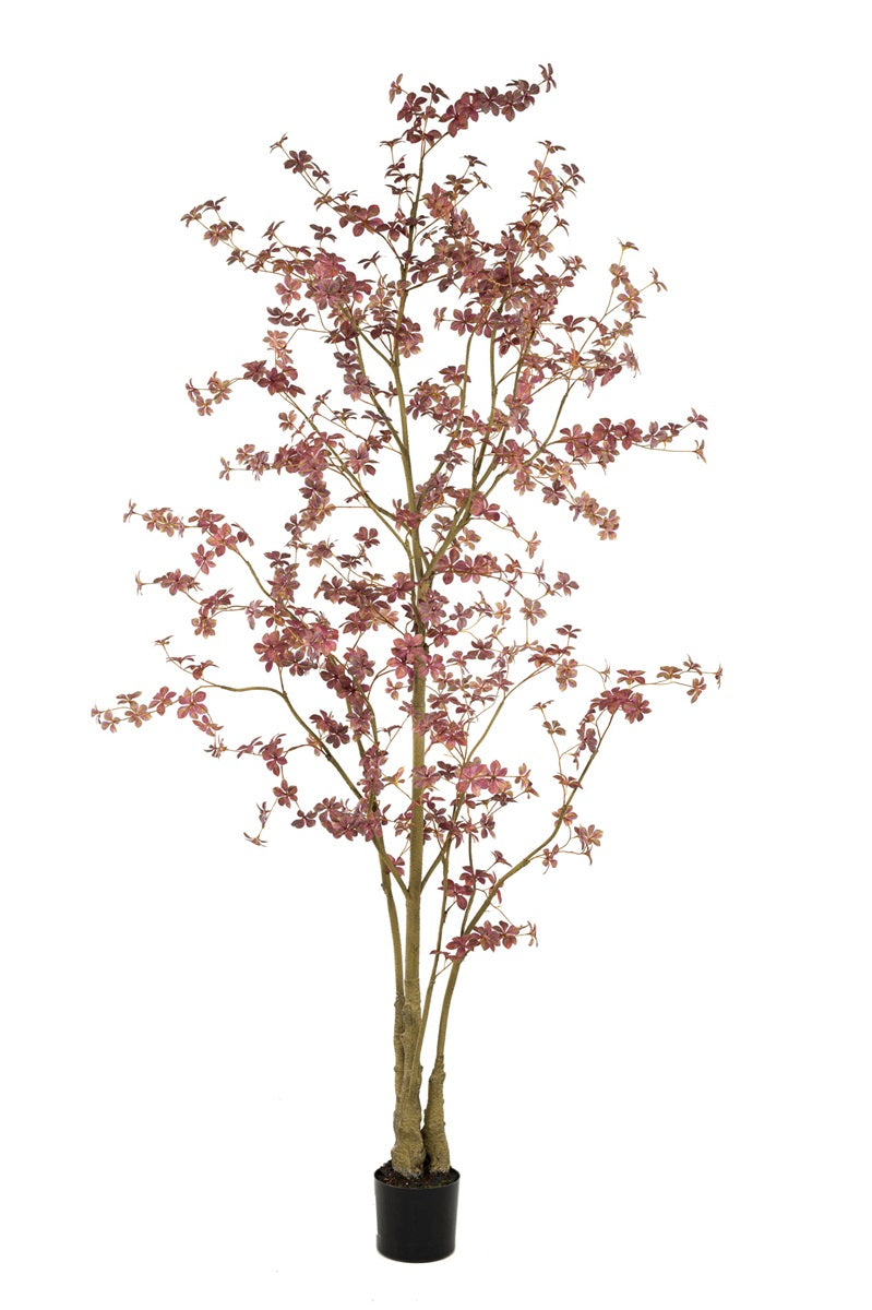 🌿 Albero artificiale Tropaeolum burgundy – 270 cm