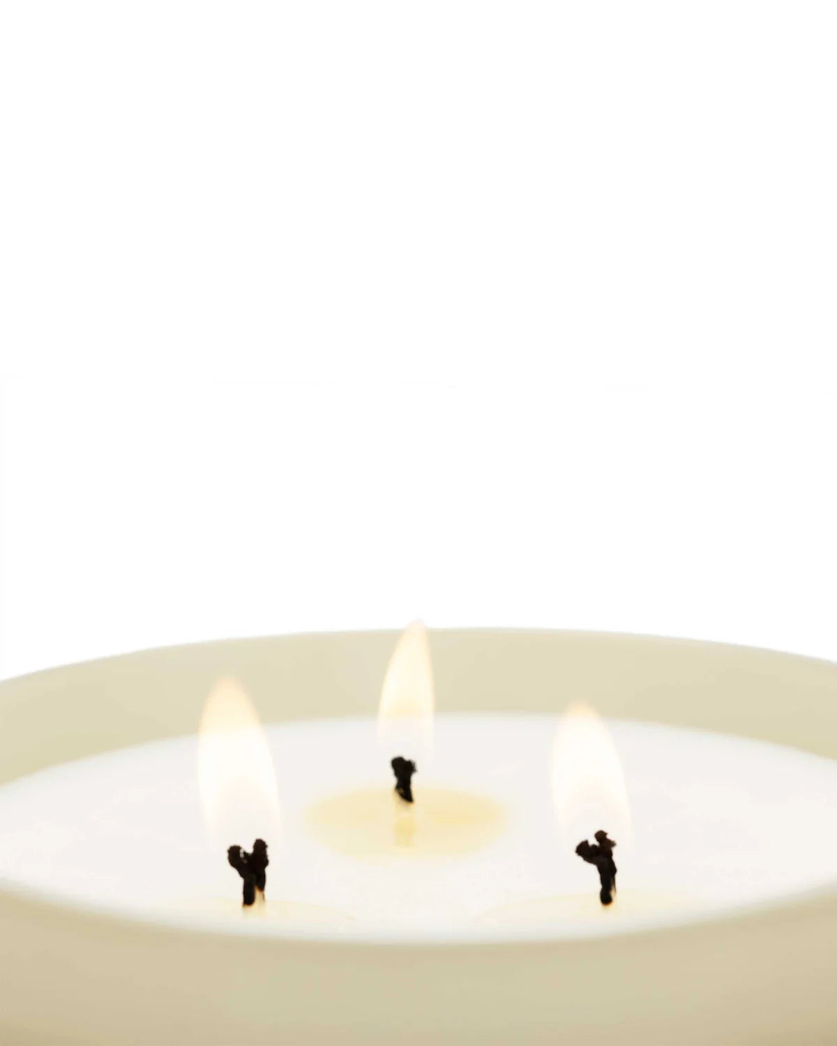 CANDELA VELVET WOOD 600G