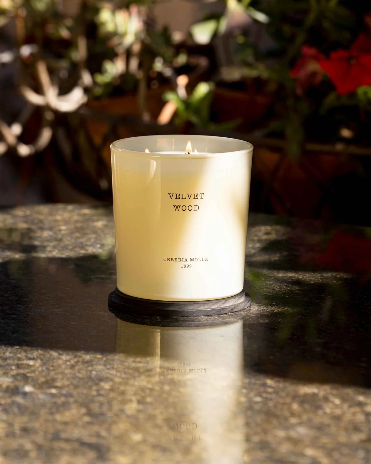 CANDELA VELVET WOOD 600G